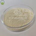 Suplemento de proteína de suero orgánico en polvo Protien Powder
